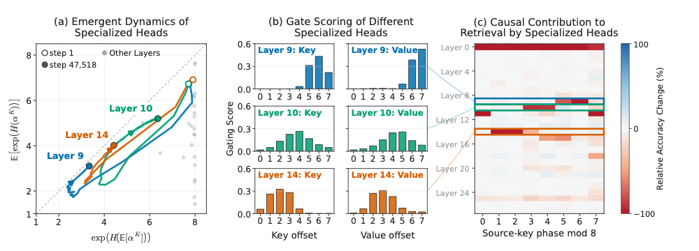Gate concentration trajectories, per-offset key and value gates for Layers 9, 10, and 14, and phase-dependent retrieval effects in the controlled W8/S8 model.