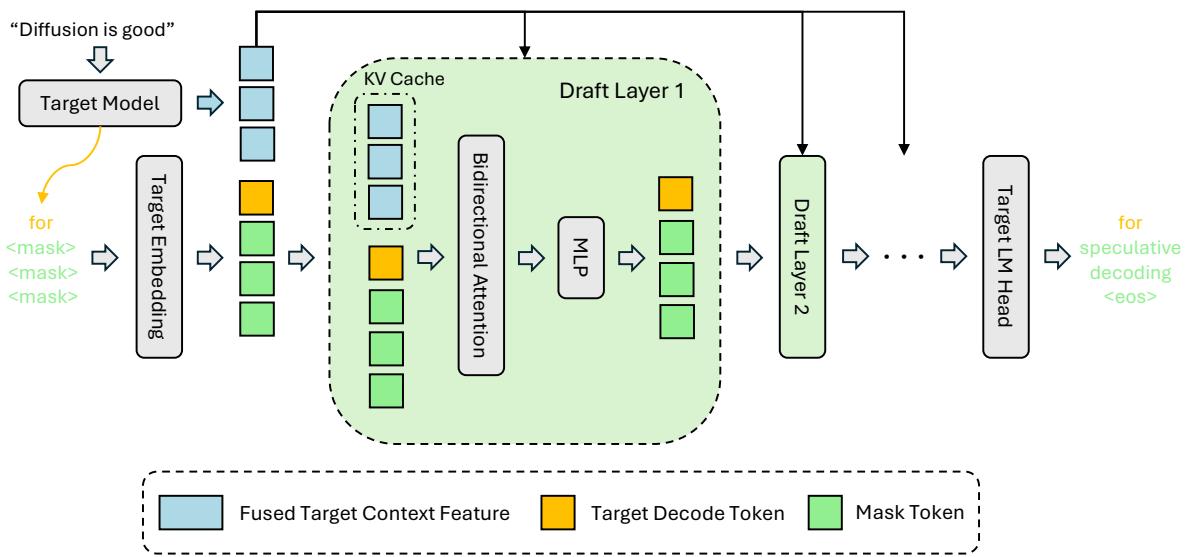 DFlash target-context feature fusion and per-layer K/V injection architecture