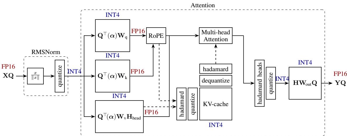 QuaRot applied to an attention component: RMSNorm scaling absorbed into input weights, hidden state rotated by Q, head-wise Hadamard rotations on values/keys/queries, and colored bit-width labels on every flow including the quantized KV cache.